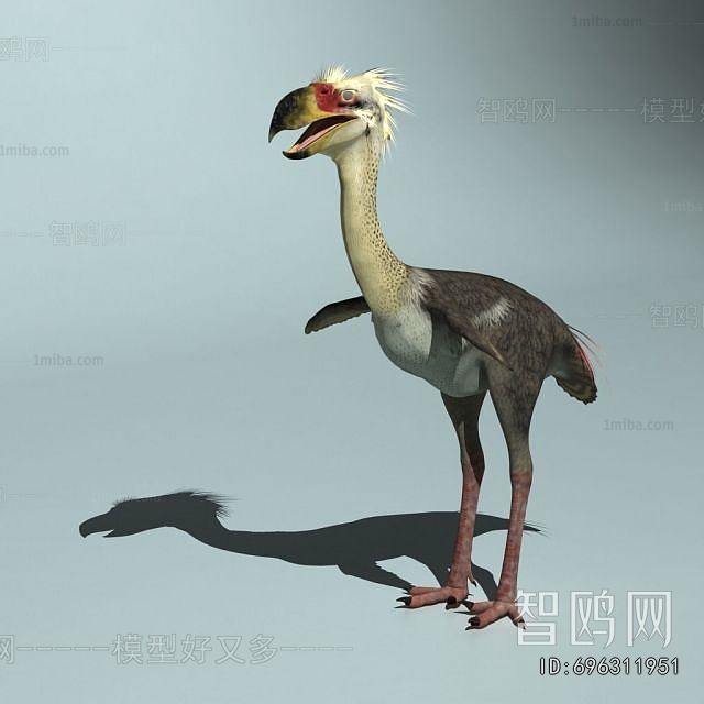 Modern Other Animals