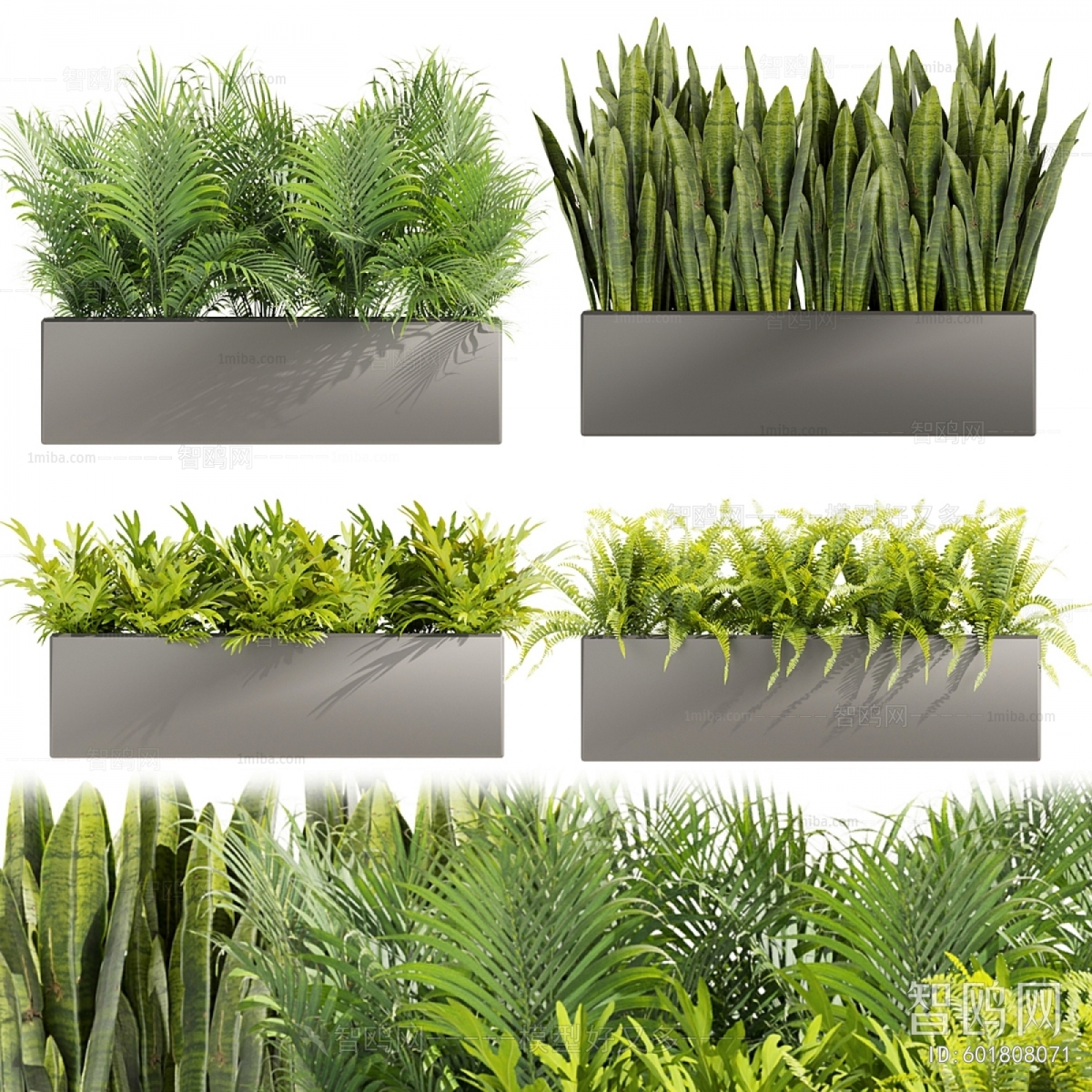 Modern Flower Bed, Flower Bowl, Flower Box