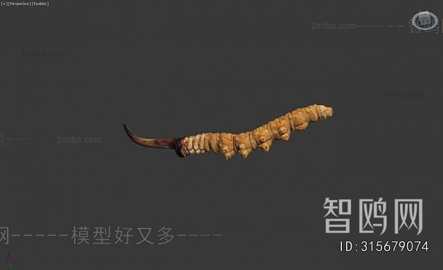 Modern Food/vegetables/fruit