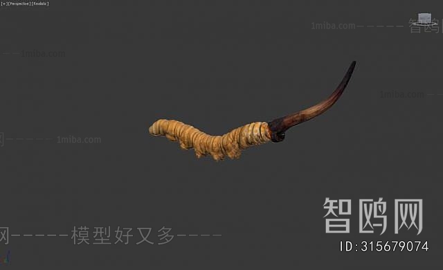 Modern Food/vegetables/fruit