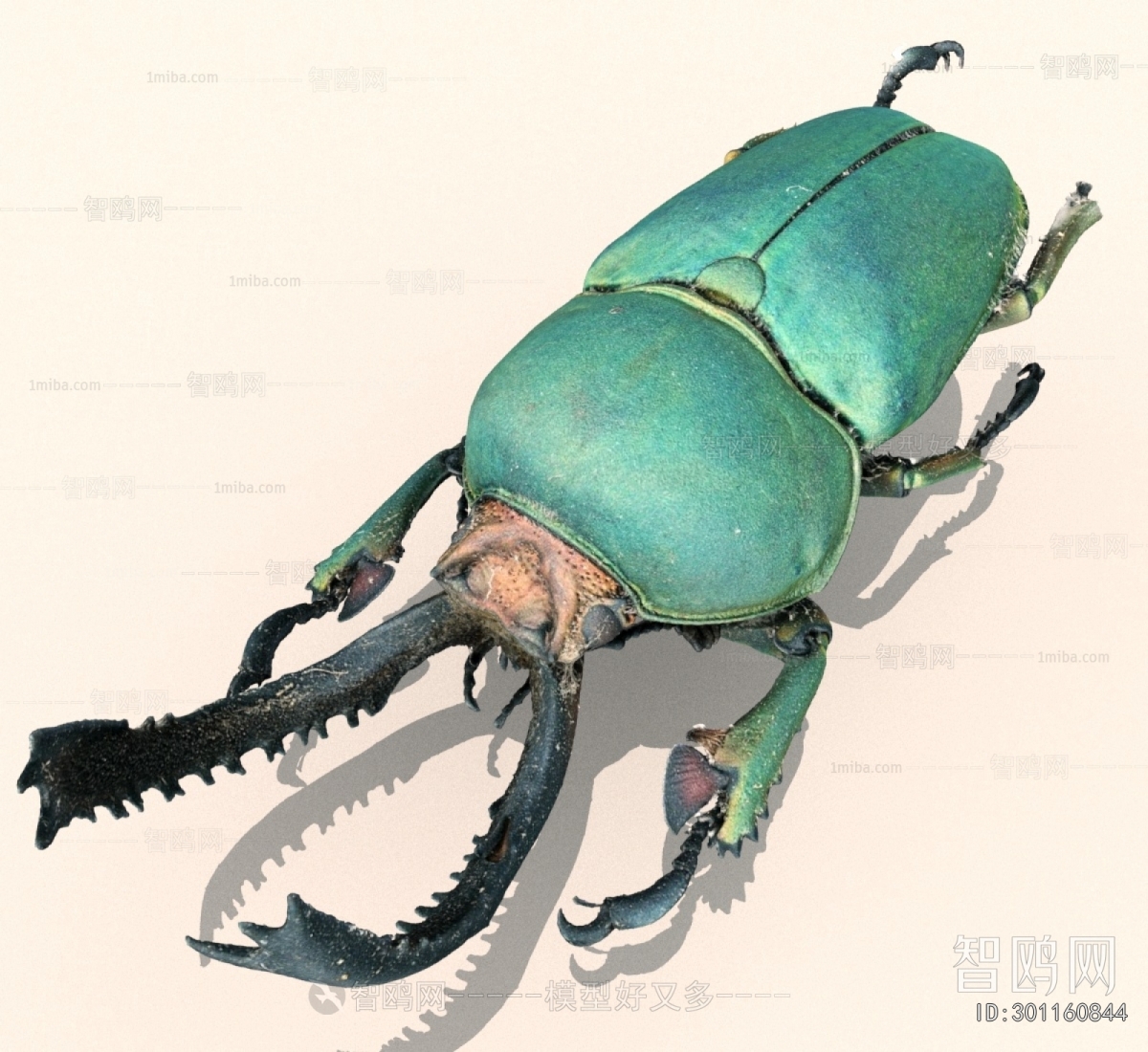 Modern Other Animals