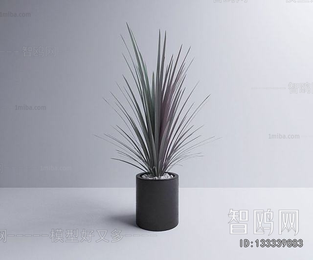 Modern Potted Green Plant