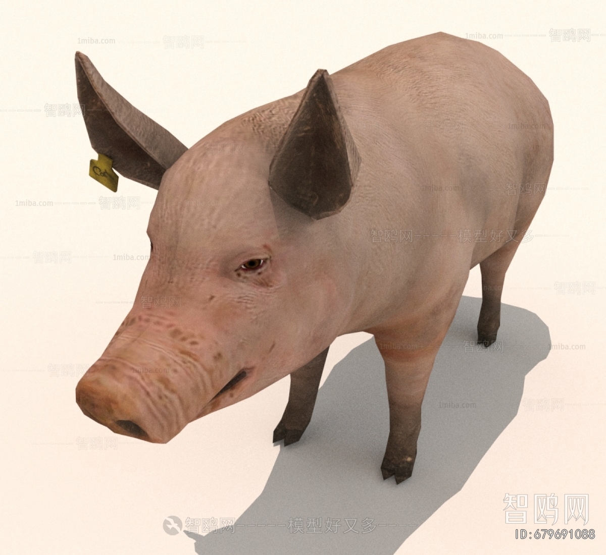 Modern Animal Pig