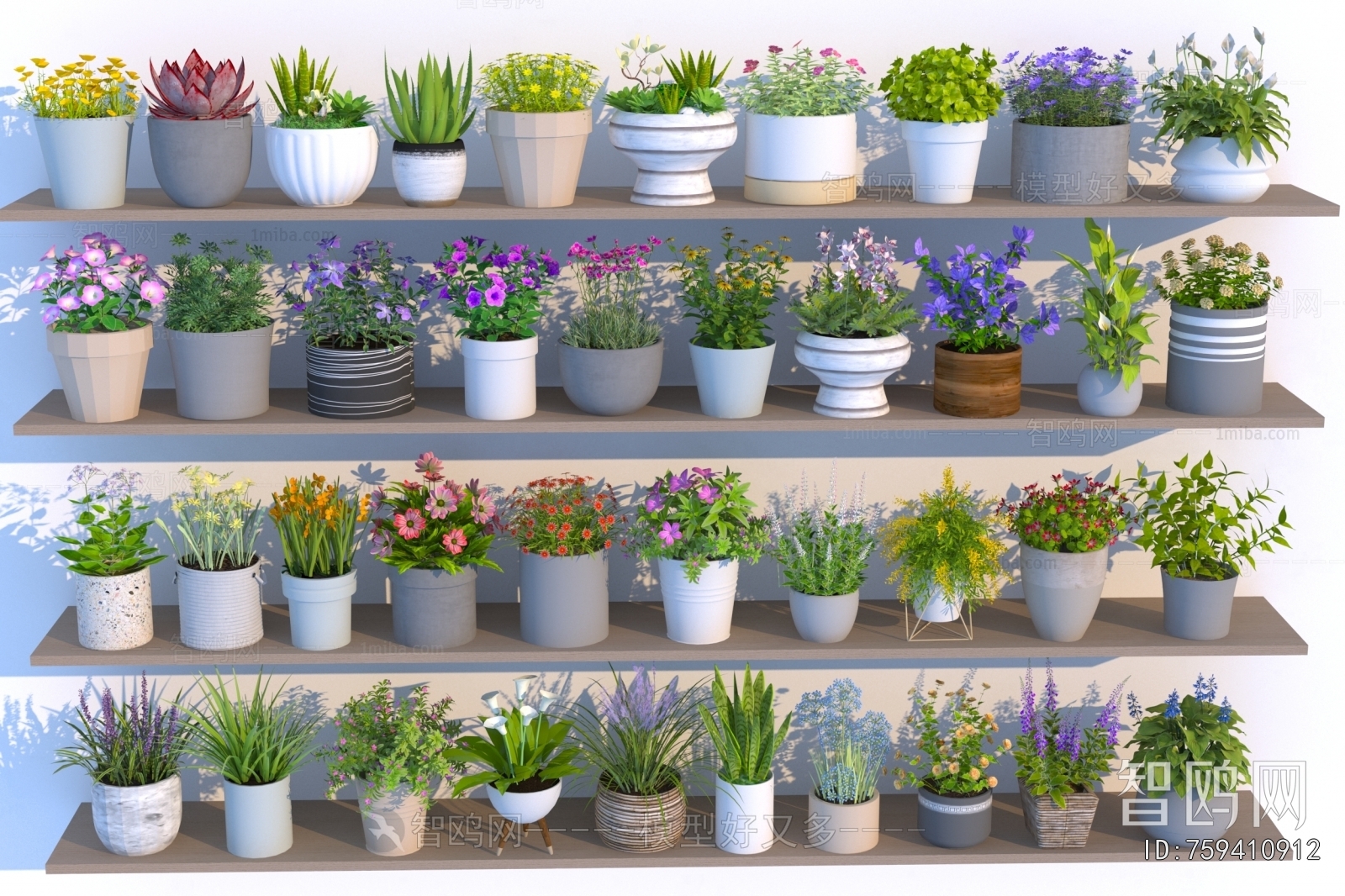 Modern Desktop Plant