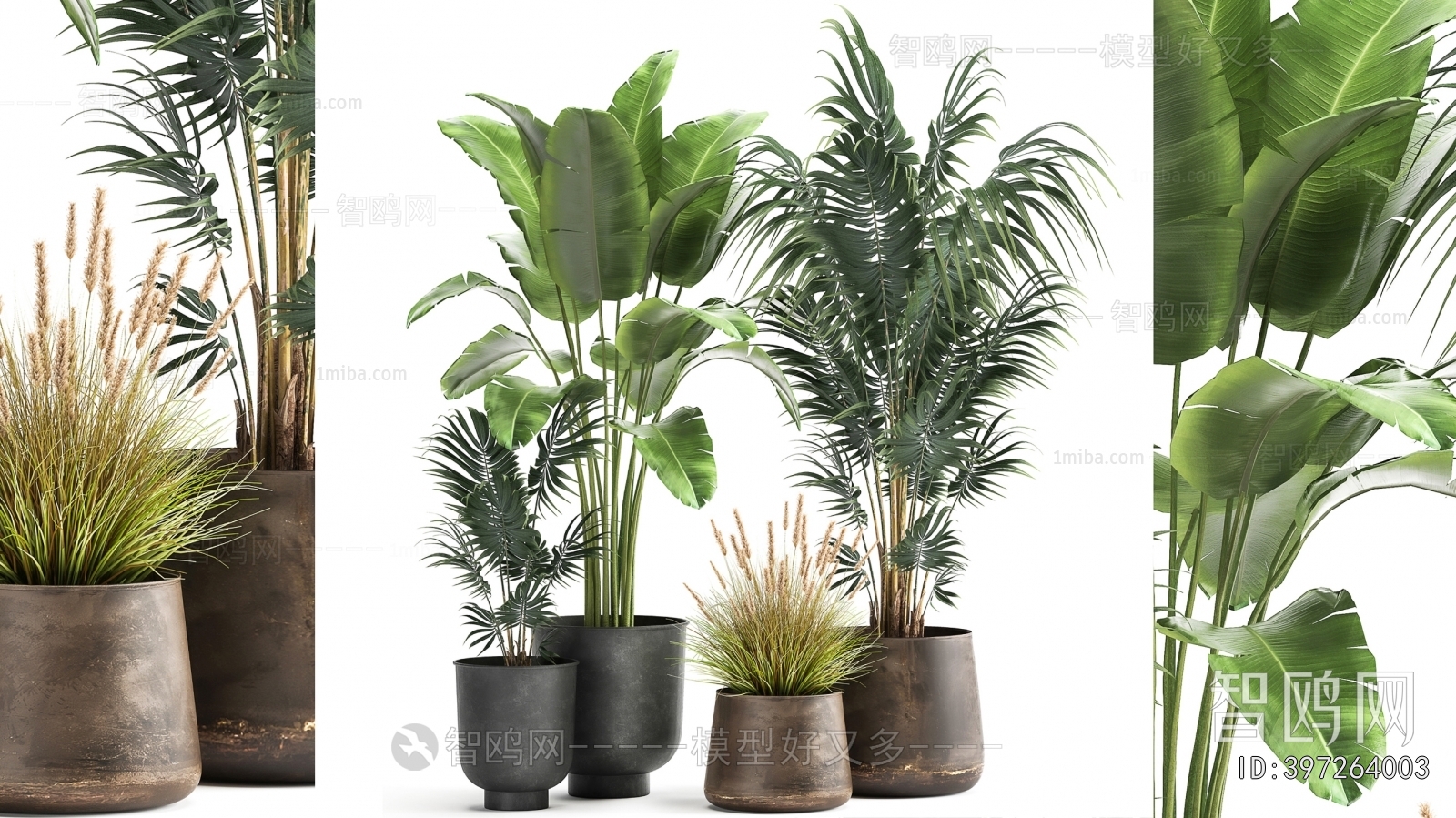 Modern Ground Green Plant Potted Plants
