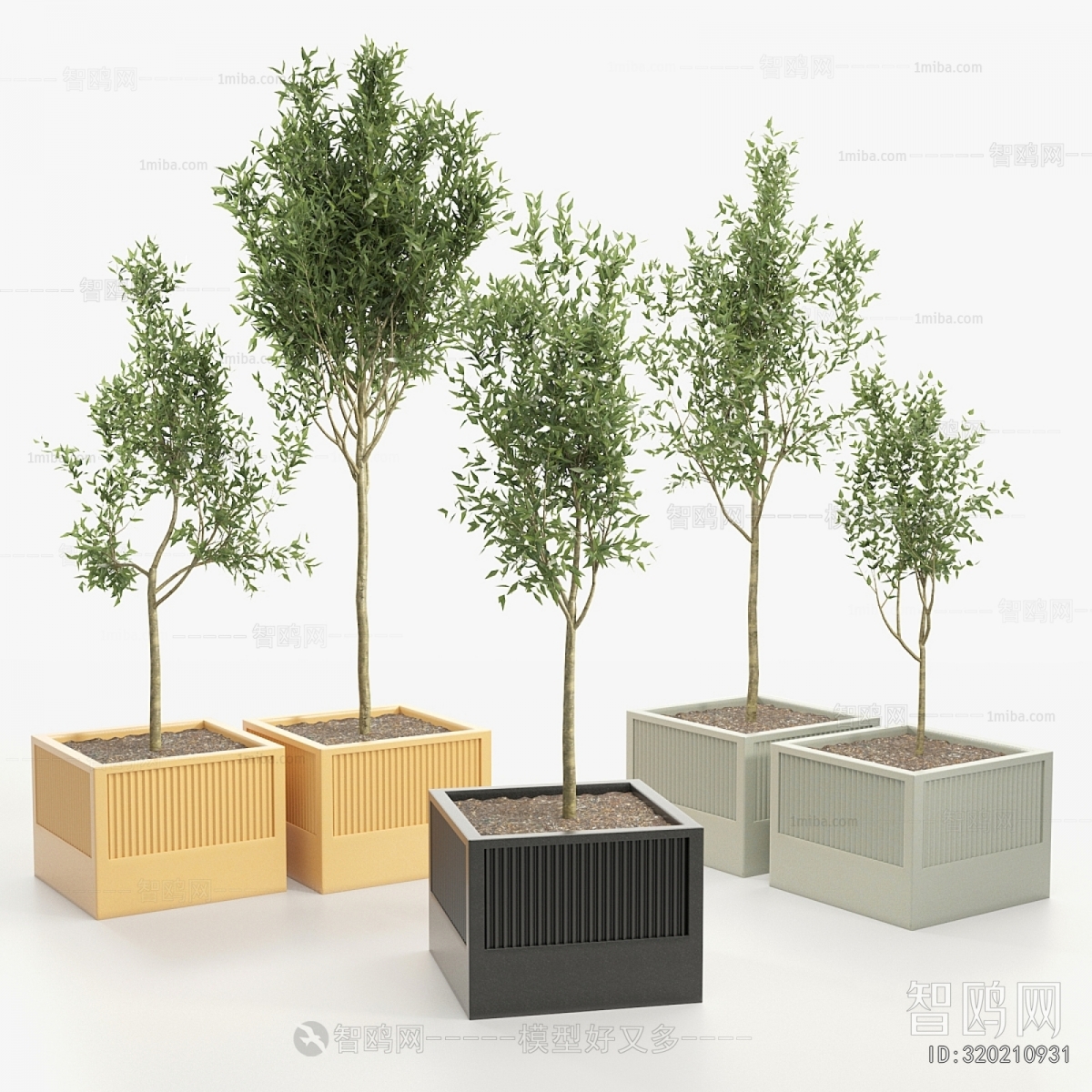 Modern Ground Green Plant Potted Plants