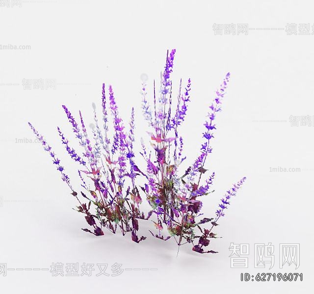 Modern Flowers And Grass