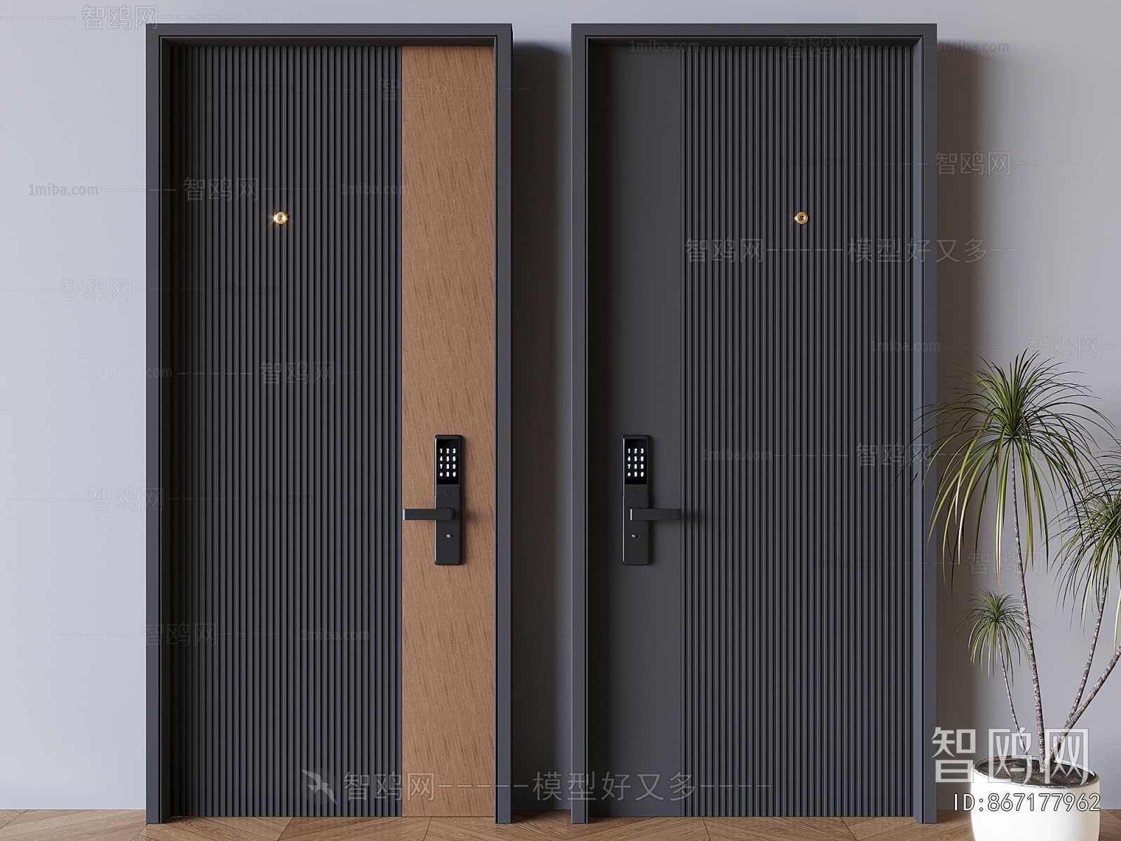 Modern Entrance Door