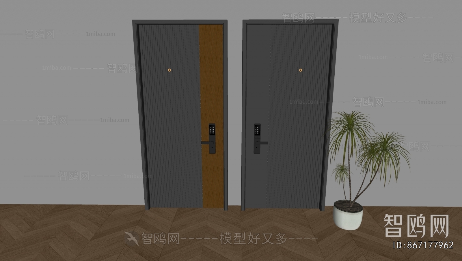 Modern Entrance Door