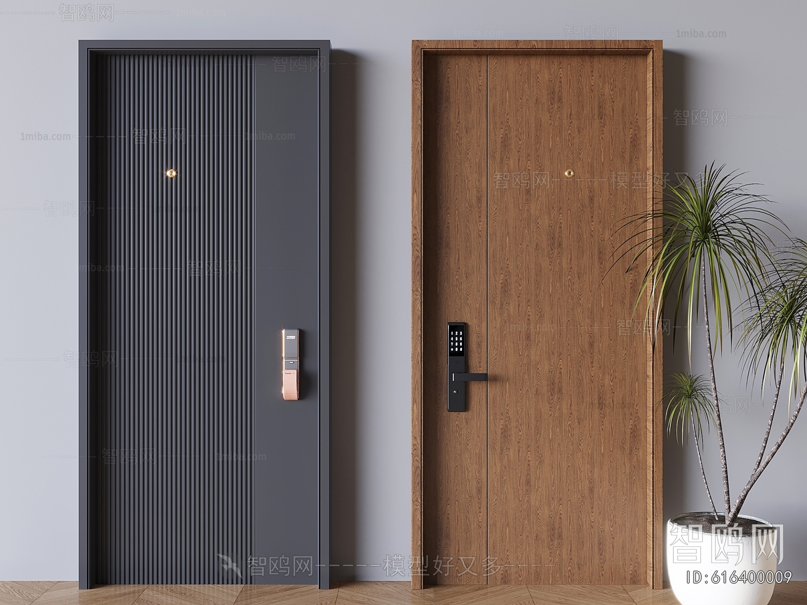 Modern Entrance Door