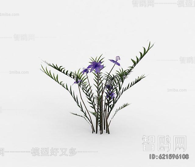 Modern Flowers And Grass