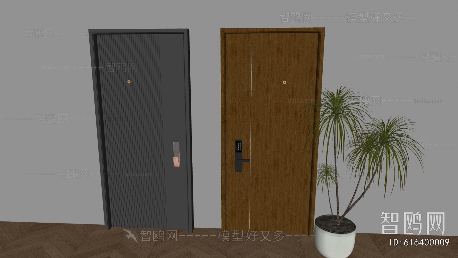 Modern Entrance Door