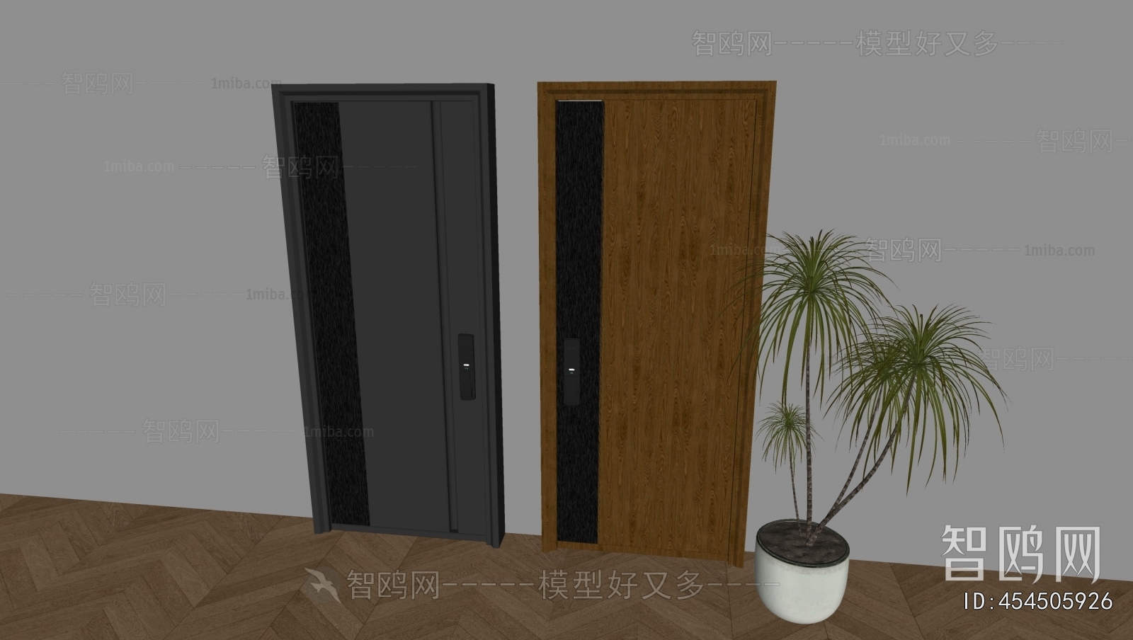 Modern Entrance Door