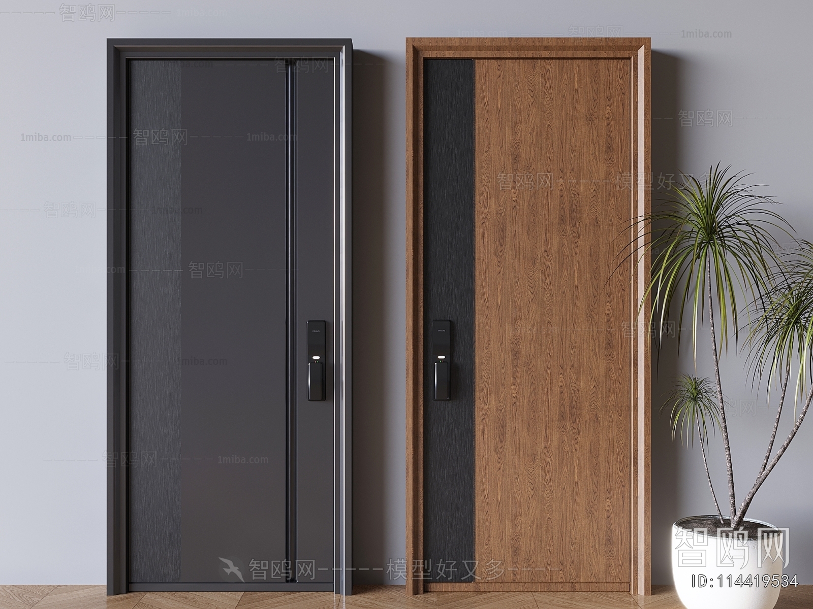 Modern Entrance Door