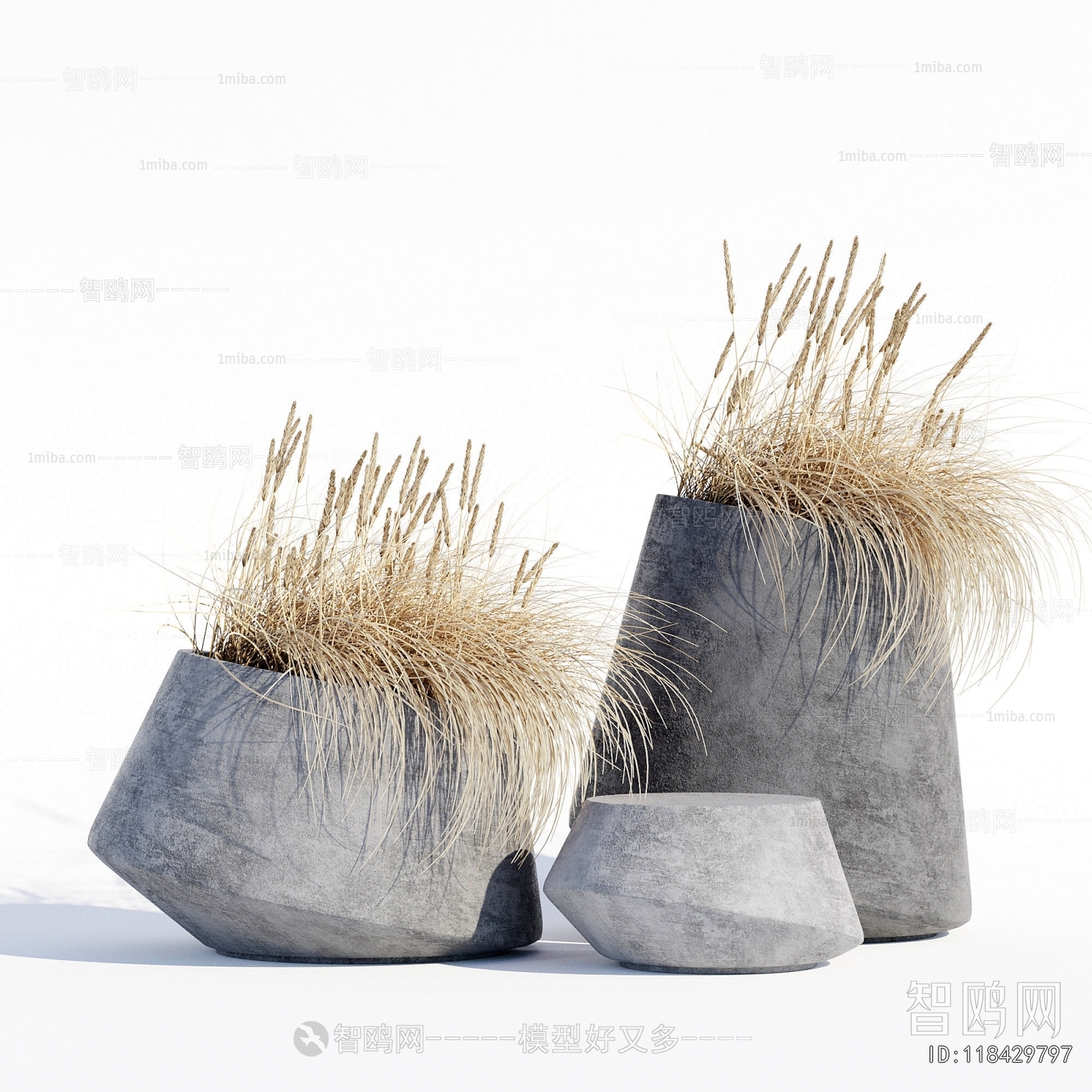 Modern Potted Green Plant