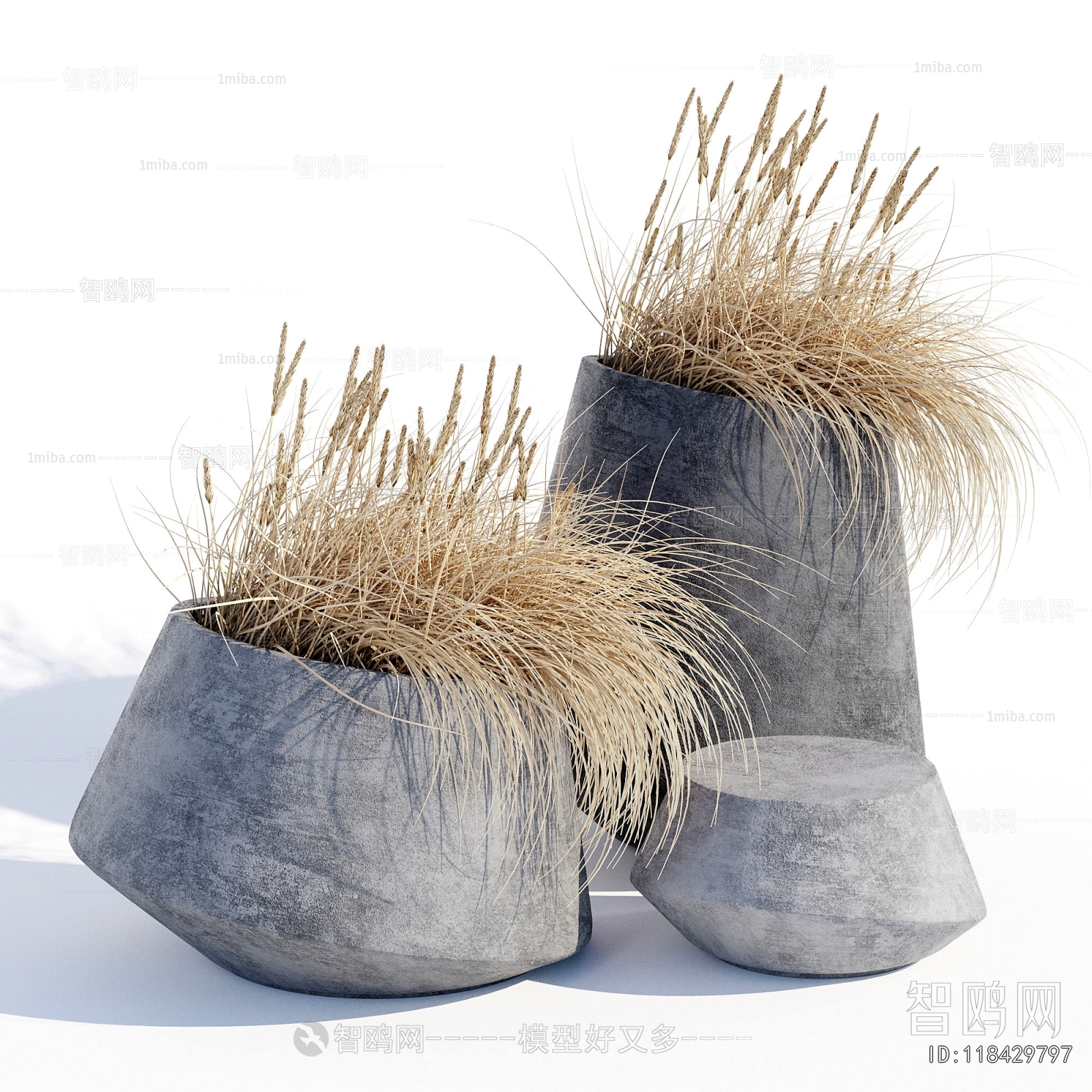 Modern Potted Green Plant