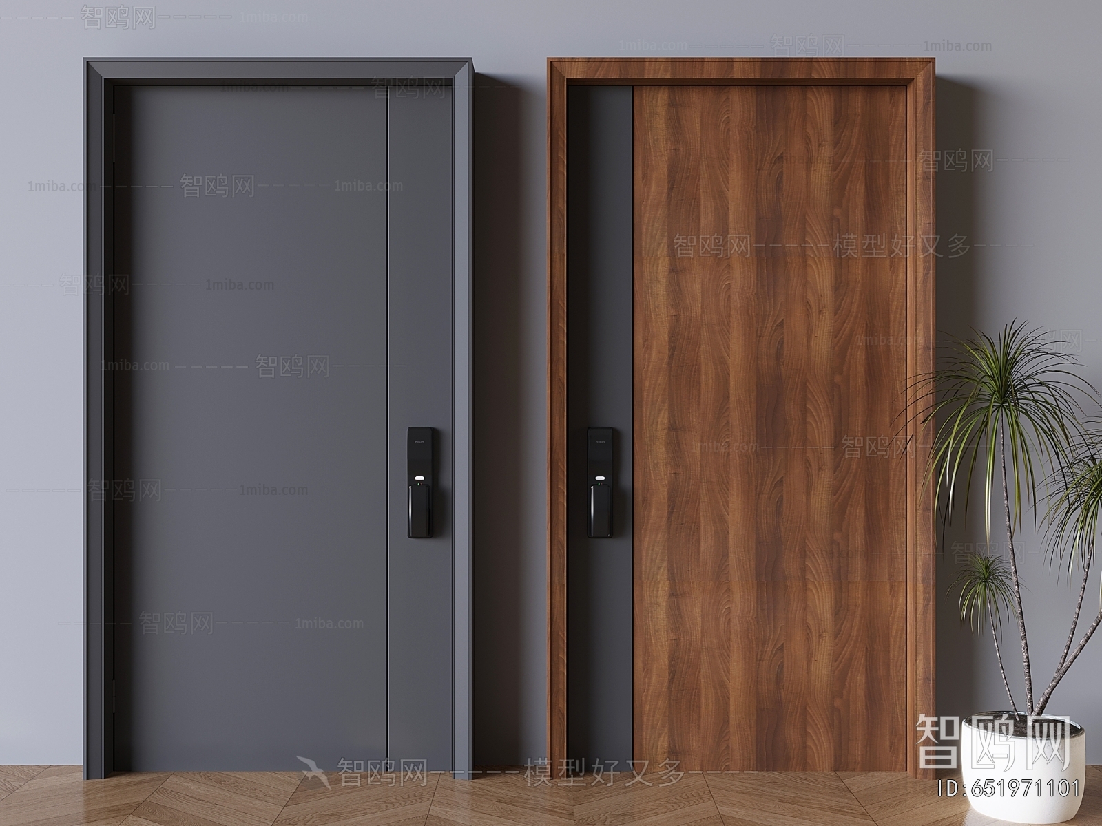 Modern Entrance Door