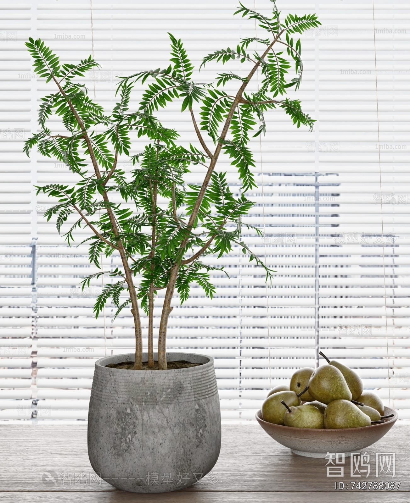 Modern Potted Green Plant