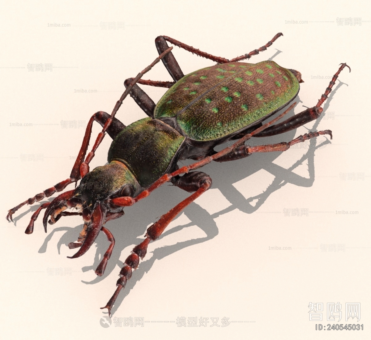 Modern Other Animals