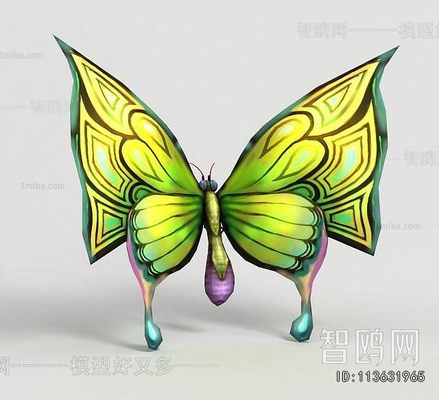 Modern Flying Animals