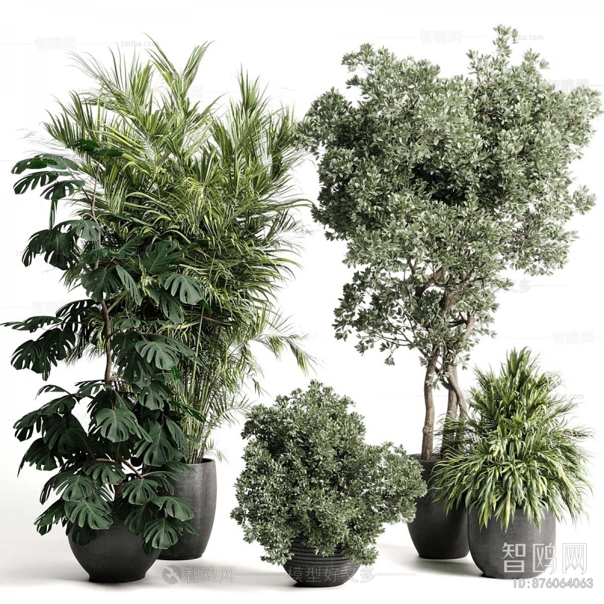 Modern Ground Green Plant Potted Plants