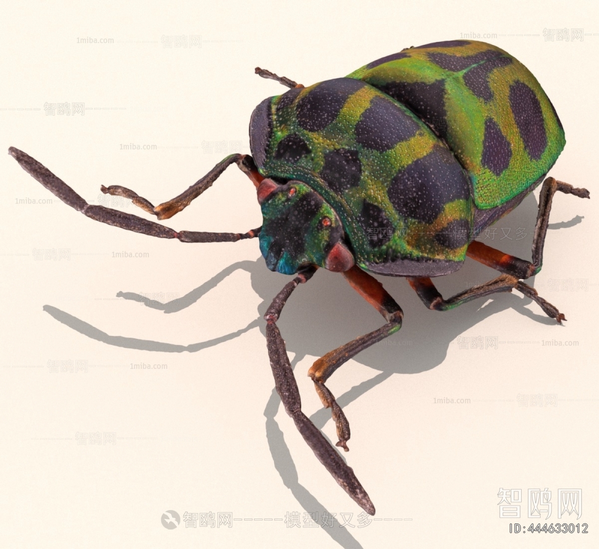 Modern Other Animals