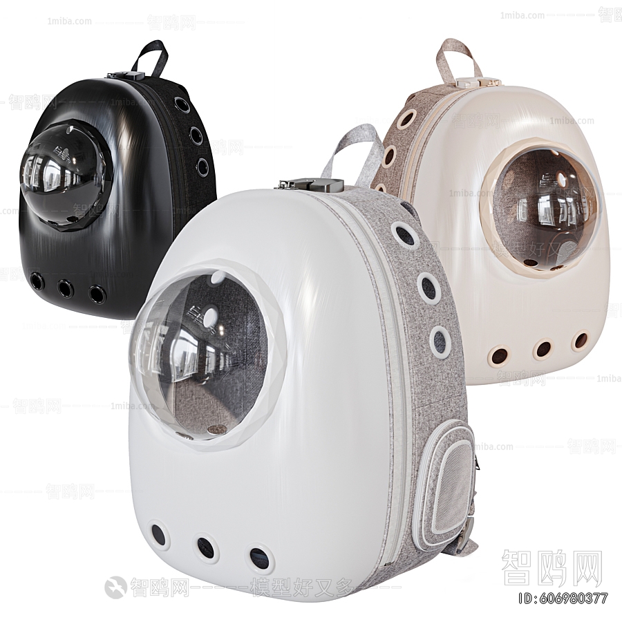 Modern Backpack And Backpack