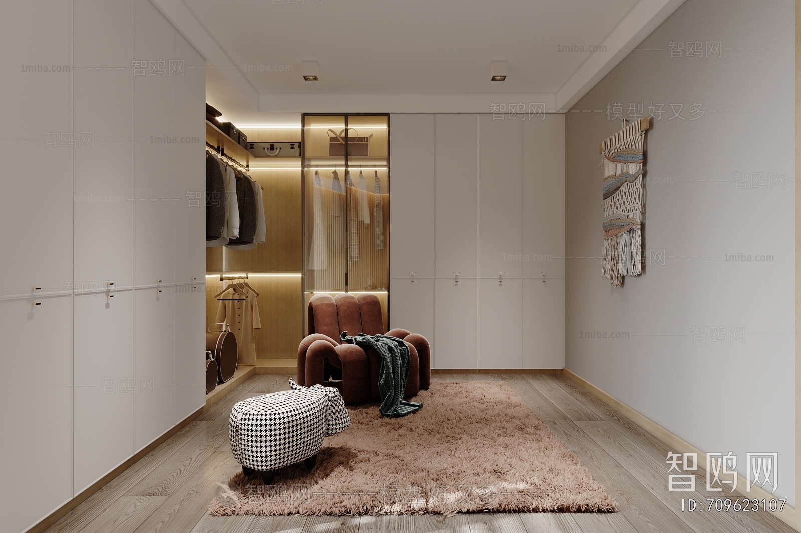 Modern Clothes Storage Area