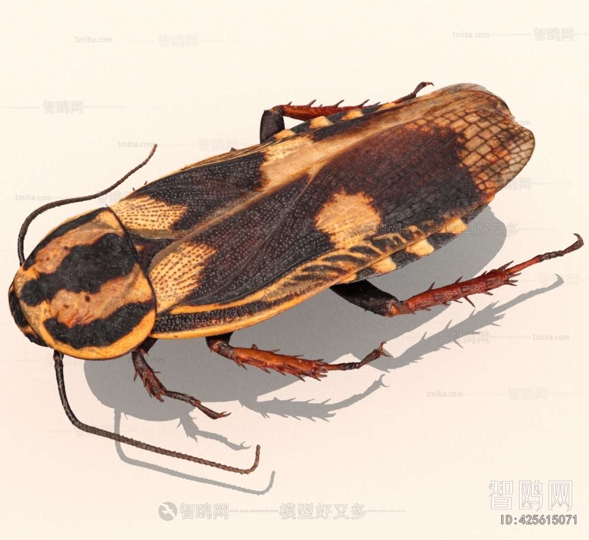 Modern Other Animals