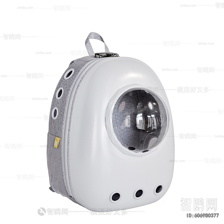 Modern Backpack And Backpack