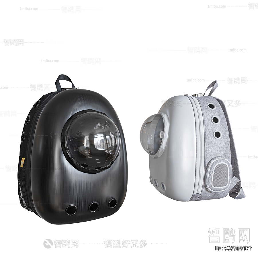 Modern Backpack And Backpack