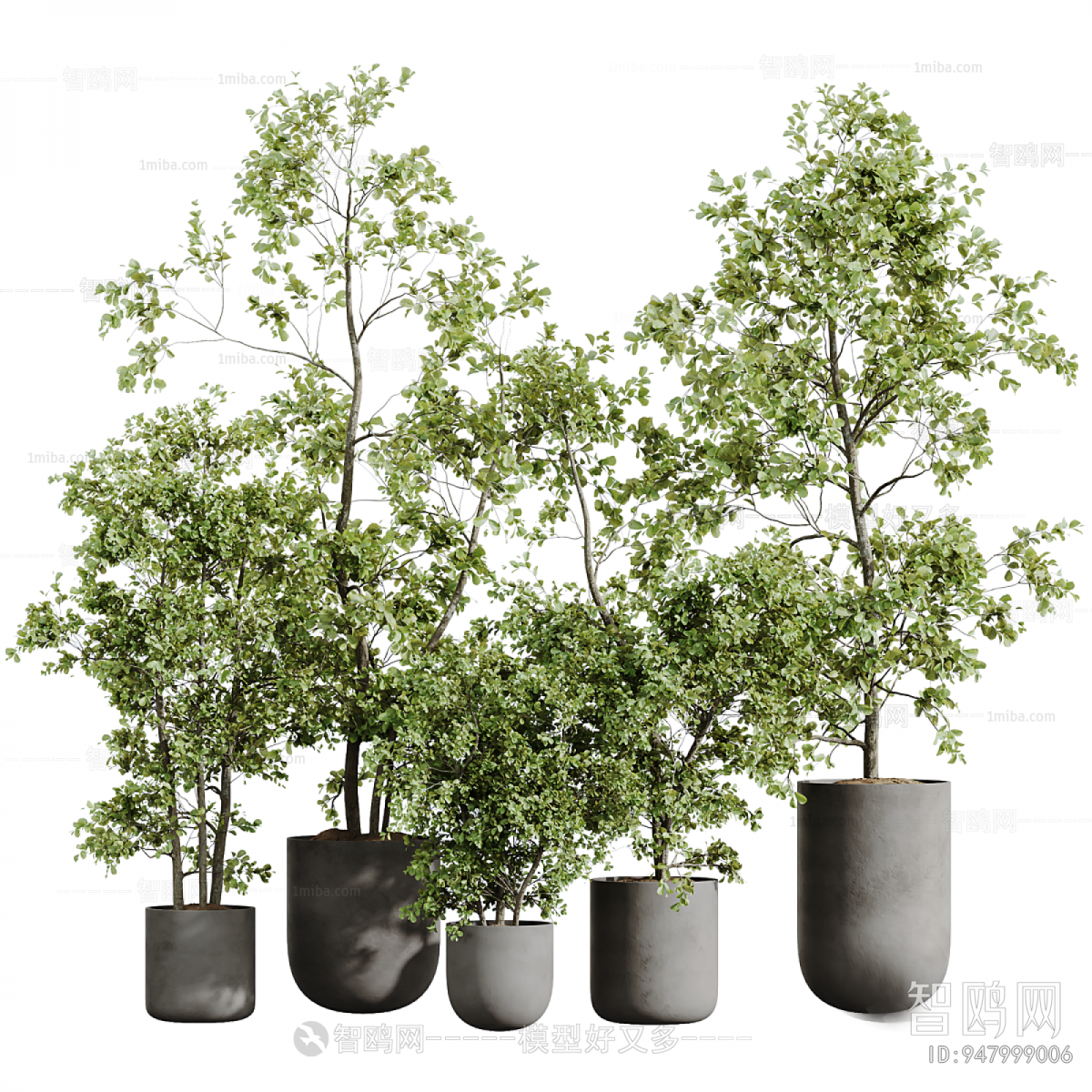 Modern Ground Green Plant Potted Plants