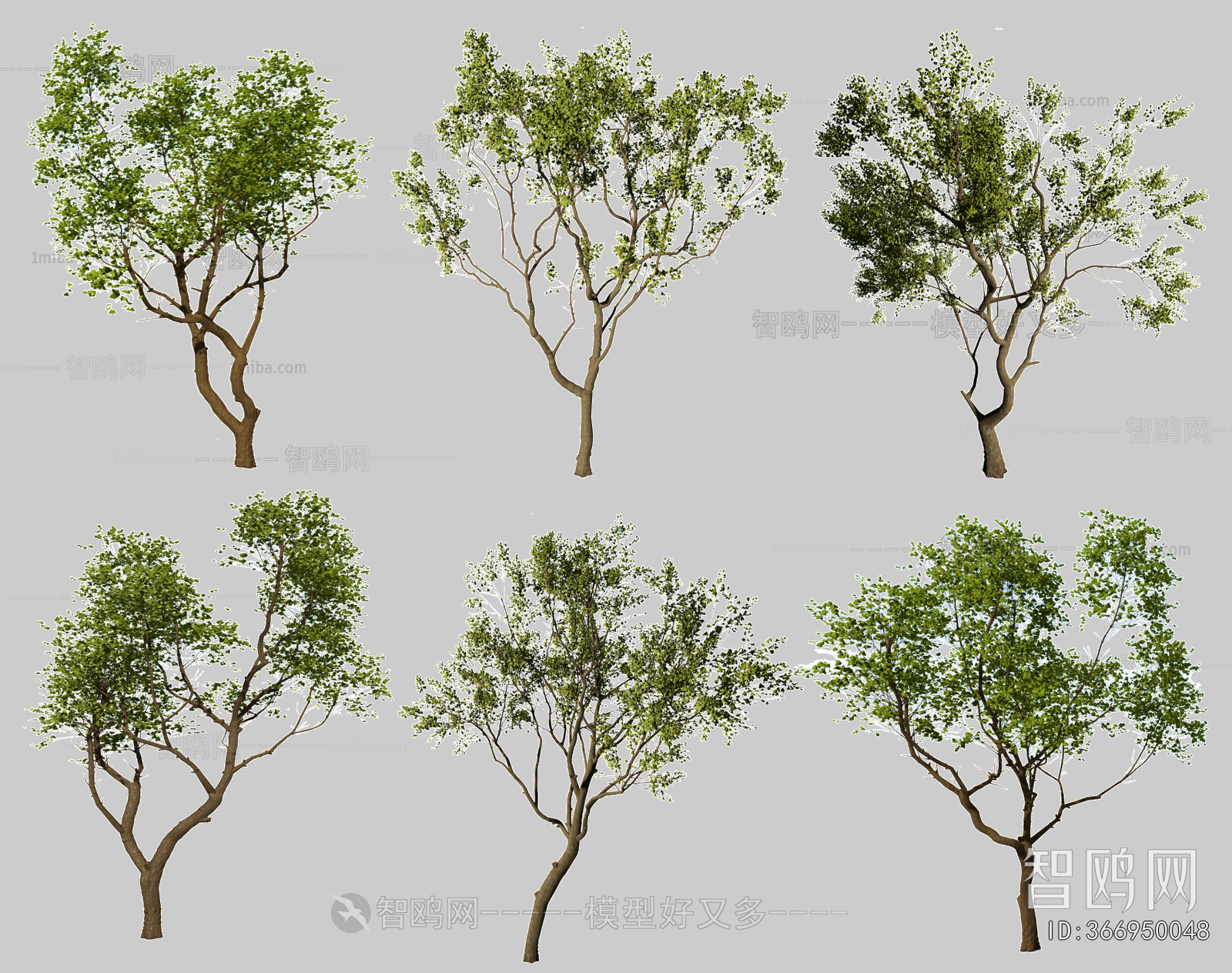 现代乌桕树组合