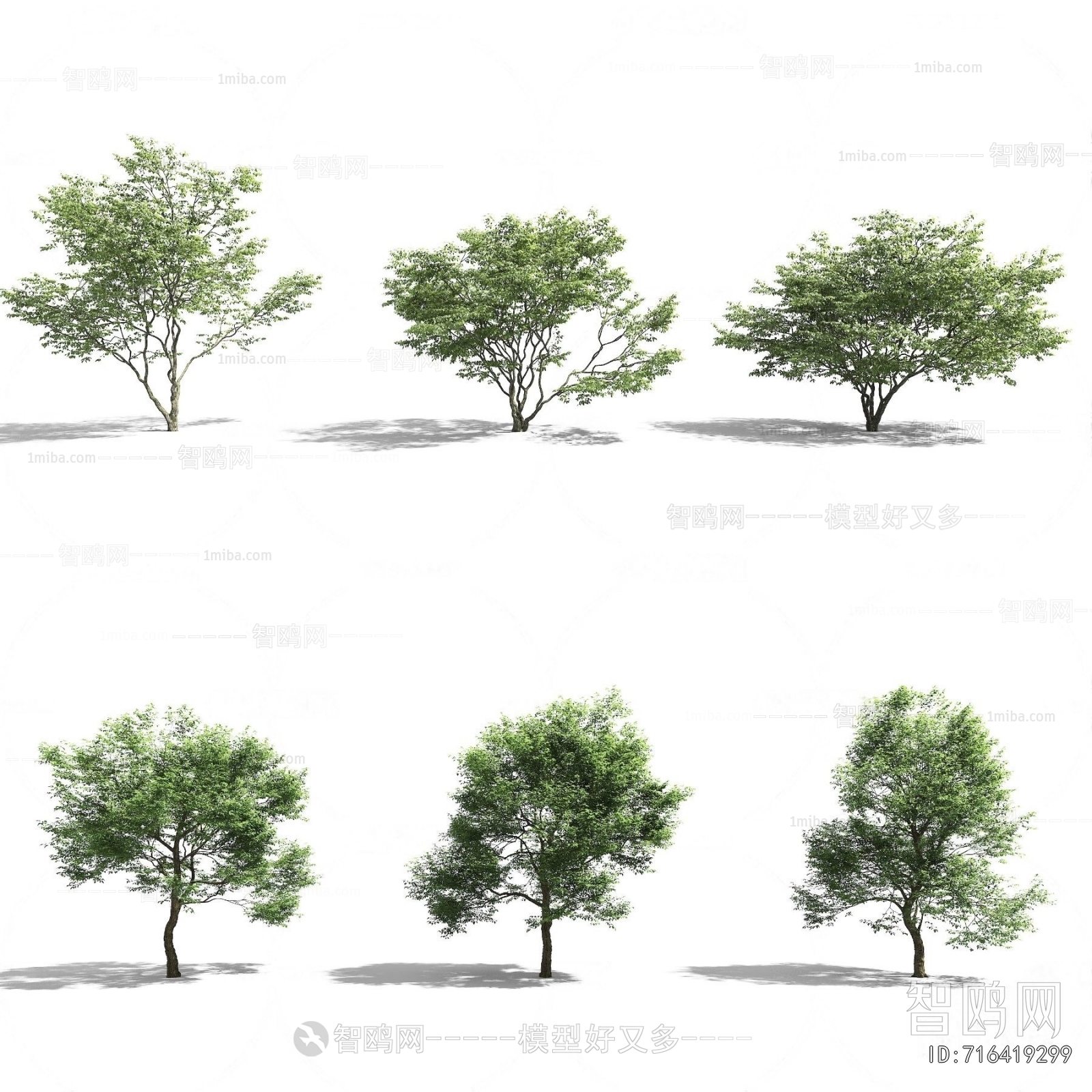 Modern Tree