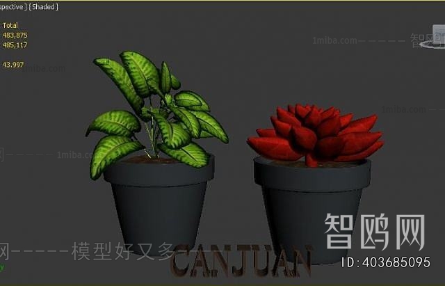 Modern Potted Green Plant