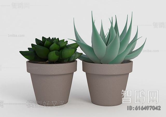 Modern Desktop Plant