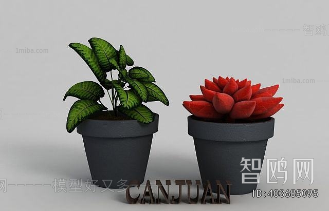 Modern Potted Green Plant