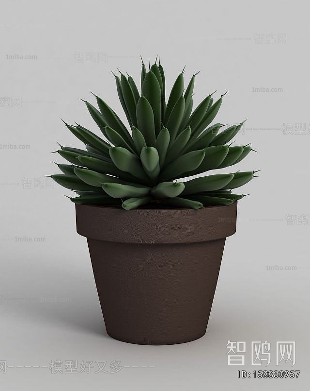 Modern Potted Green Plant