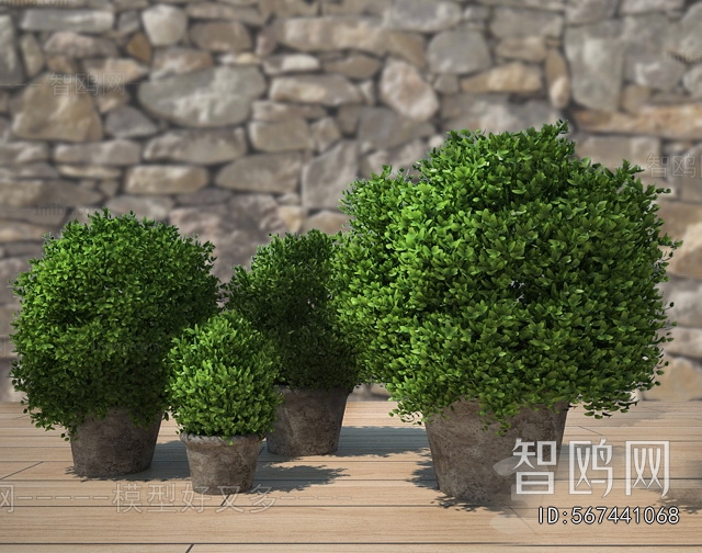 Modern Potted Green Plant