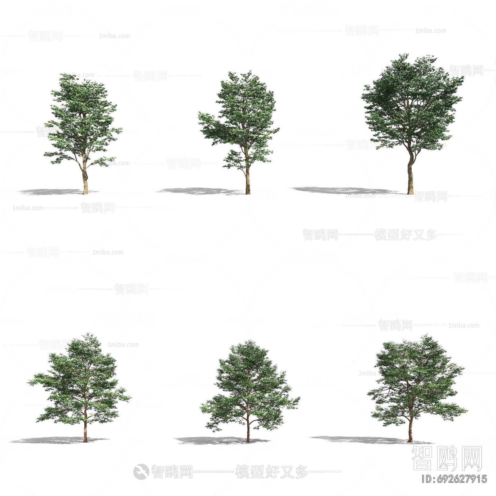 Modern Tree