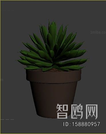 Modern Potted Green Plant