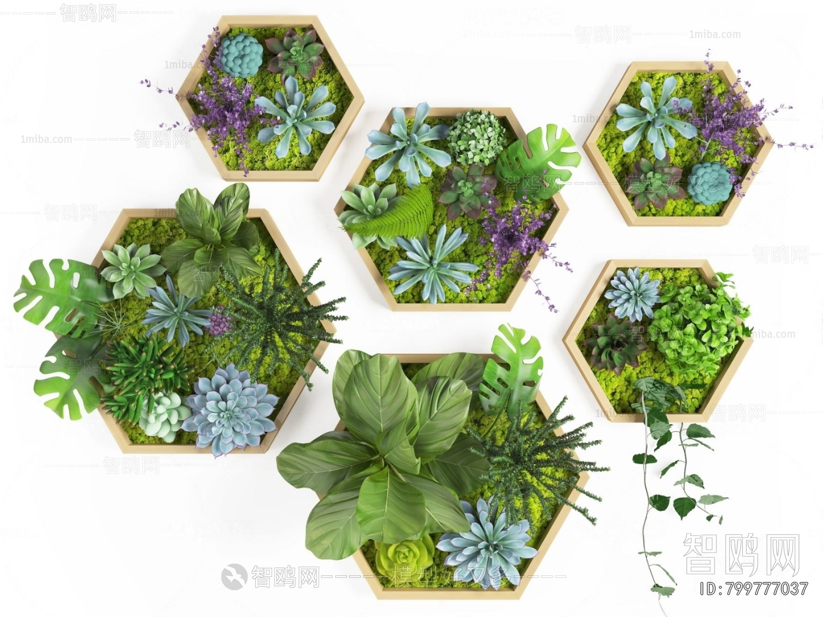 Modern Wall Decoration