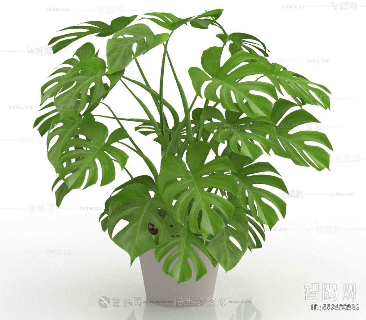 Modern Potted Green Plant