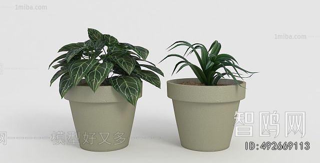 Modern Potted Green Plant