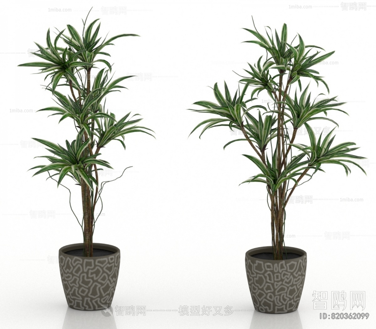 Modern Ground Green Plant Potted Plants