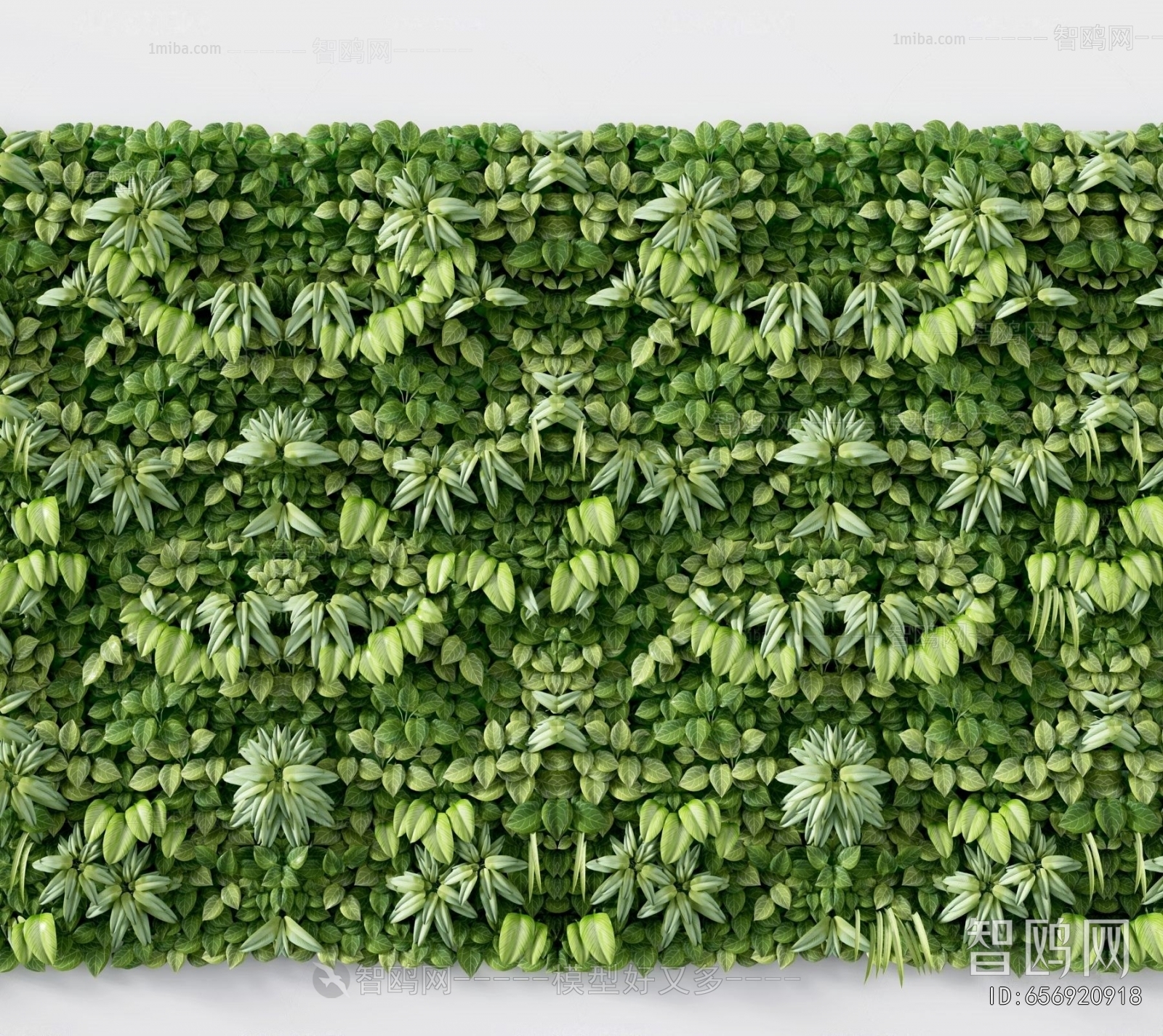 Modern Plant Wall