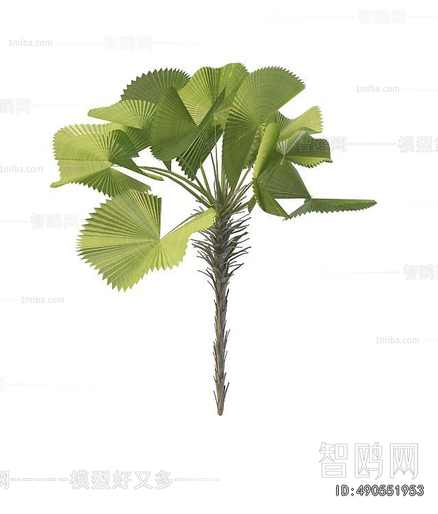 Modern Tree