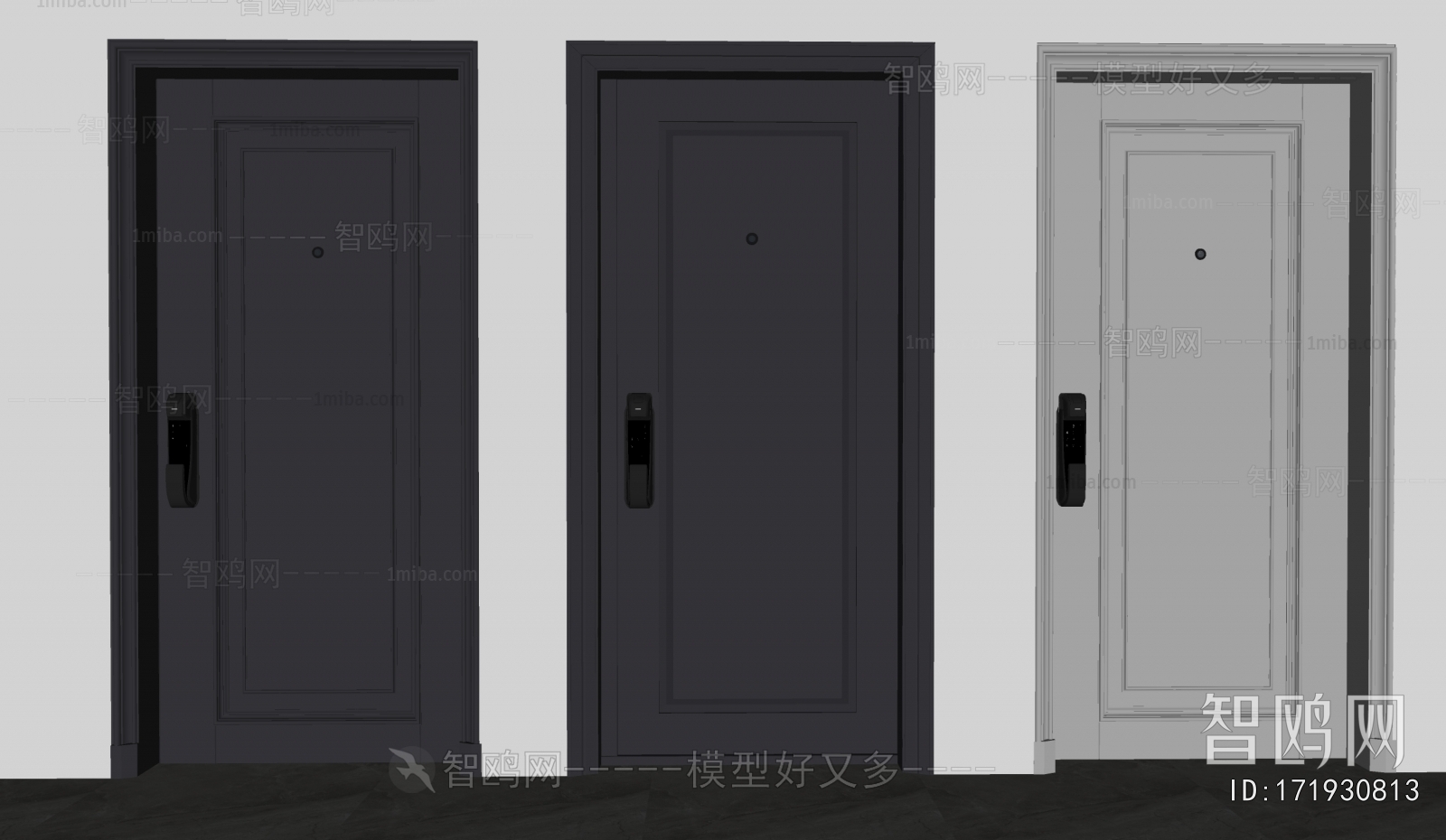 Modern Entrance Door