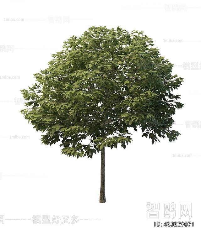 Modern Tree