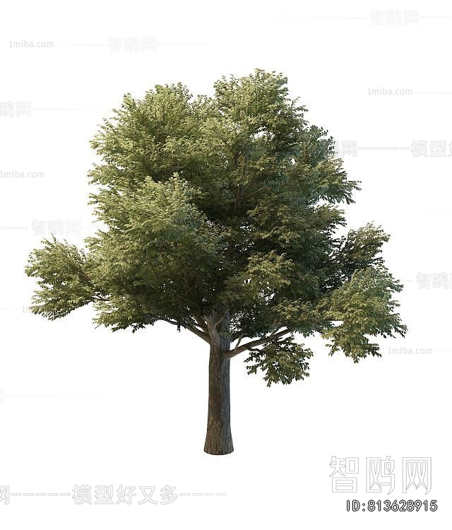 Modern Tree
